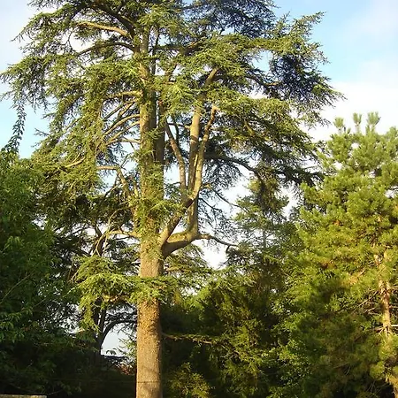 Hotel Les Orangeries 3*