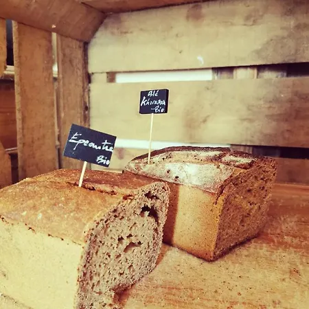 Les Orangeries Hotel