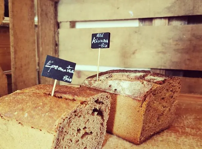 Les Orangeries Hotel