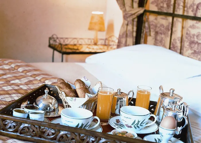 Hotel Les Orangeries 3*